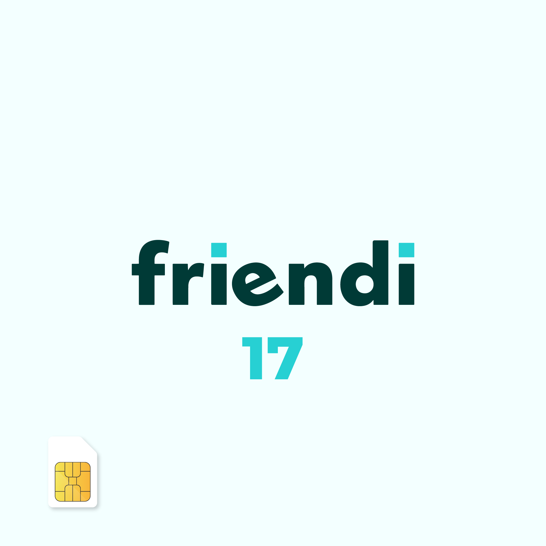 Friendi Mobile Package 17 - SIM